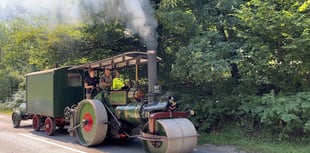Traction engine in the Forest