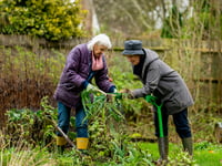 Surprising health benefits of gardening for older adults