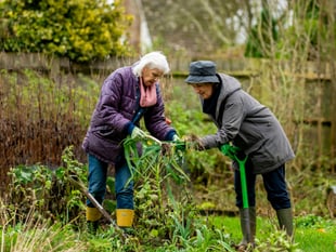 Surprising health benefits of gardening for older adults
