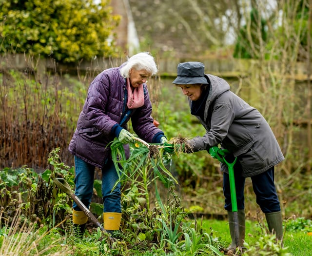 Surprising health benefits of gardening for older adults