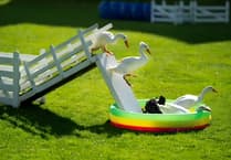 Family fun awaits at this year's Chepstow Show