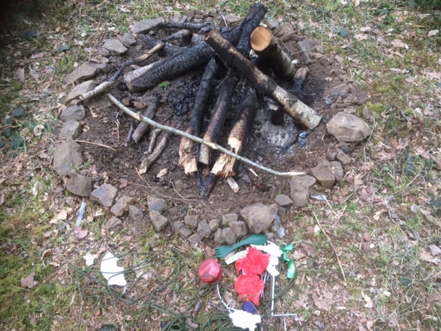 Forestry England urges litter-free Forest of Dean