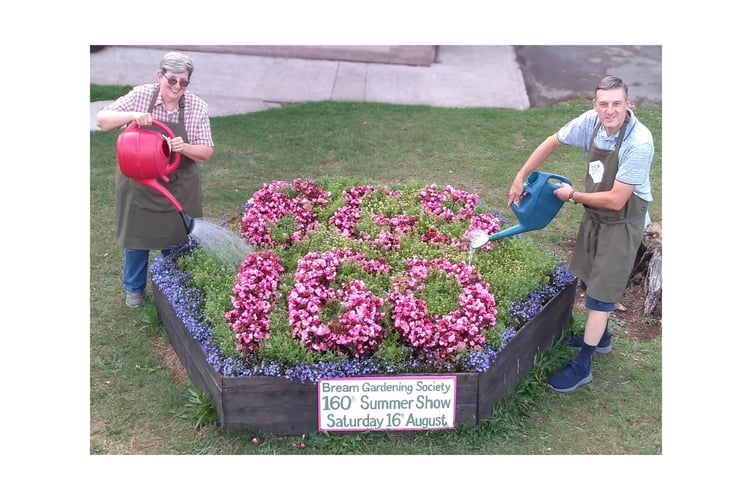 BGS Carpet Bedding Display 