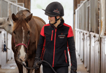 Hartpury University studies injury impact on UK grooms