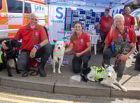 Spotlight on the emergency services