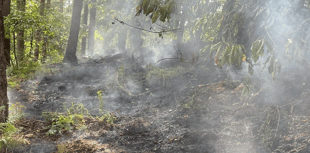 Cinderford fires risk lives, police warn