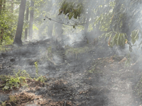 Cinderford fires risk lives, police warn