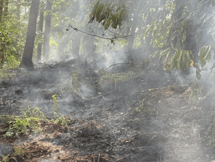Cinderford fires risk lives, police warn