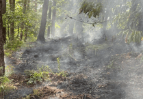 Arson warning as Cinderford fires rage