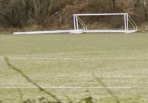 A Forest View with Dave Kent