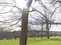Discover the two best Gloucestershire 'chocolate box villages'