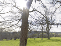 Discover the two best Gloucestershire 'chocolate box villages'