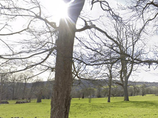 Discover the two best Gloucestershire 'chocolate box villages'