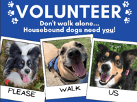 Volunteers needed for Lydney dog walking