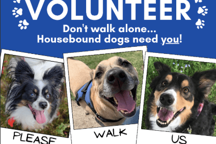 The Cinnamon Trust poster for volunteers