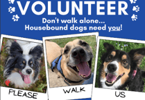 Help Lydney's pets with The Cinnamon Trust