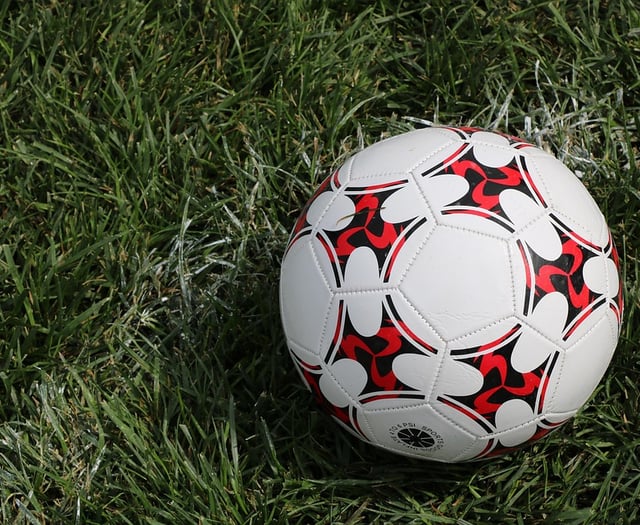 The Forest View with Dave Kent