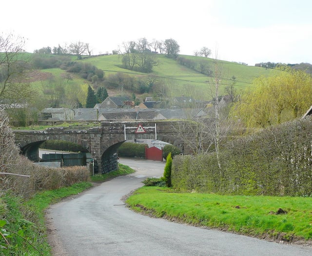 A Forest View with Dave Kent