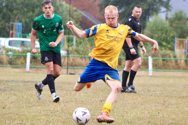 Kingfishers draw Wasps' sting before downing Romans