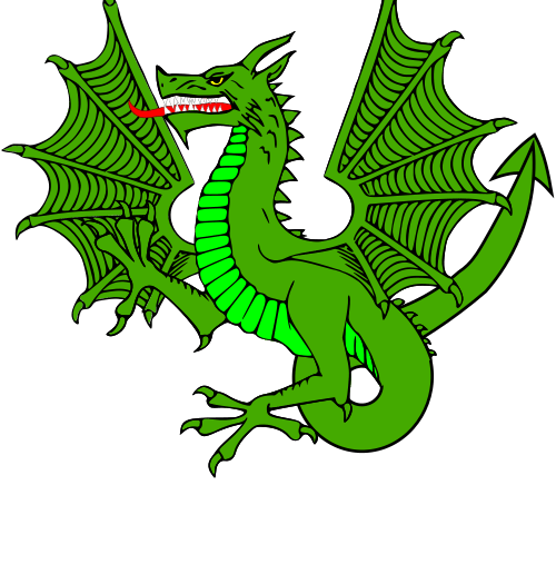 A Forest View with Dave Kent