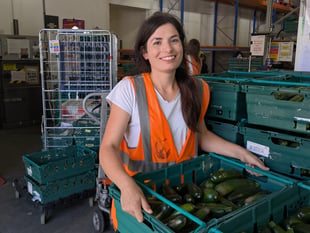 Turn your surplus courgettes into a tasty meal