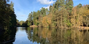 Forest of Dean biosphere concerns addressed