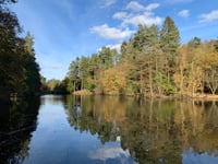 Forest of Dean biosphere concerns addressed