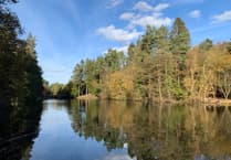 Forest of Dean Council's biosphere proposal clarified
