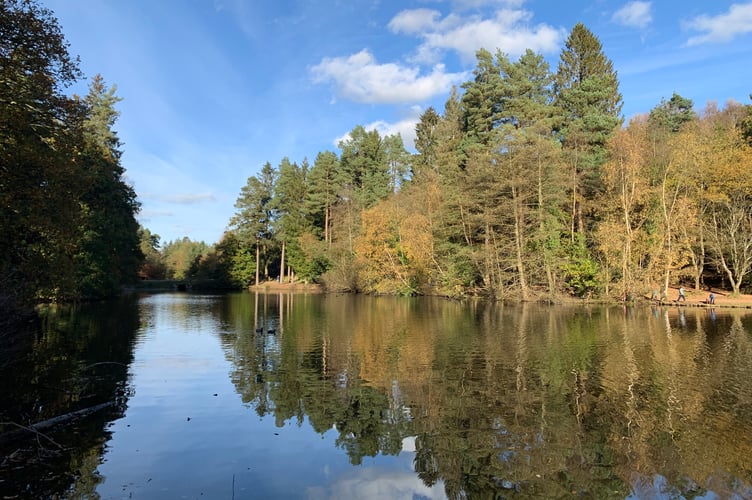 Areas such as Cannon Ponds help make the case for the Forest to become a biosphere reserve.