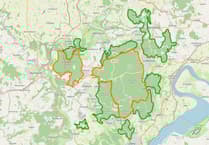 Boar and deer numbers 'stable'