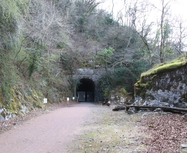 Tidenham Tunnel closes for bat hibernation
