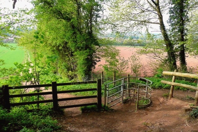 Couple launch fight to save ancient woodland
