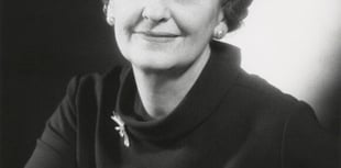 A Forest View with Dave Kent