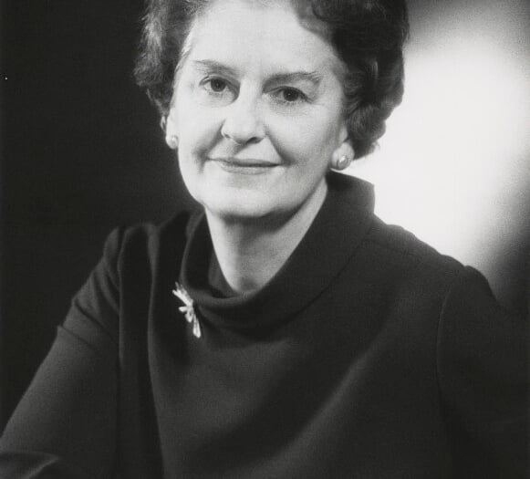 A Forest View with Dave Kent