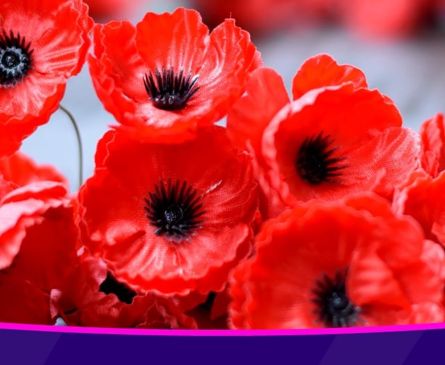 Free travel for veterans on Remembrance Day