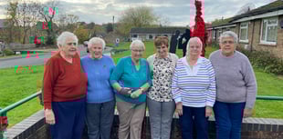 Parkside's stunning poppy display