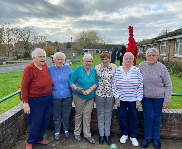 Parkside's stunning poppy display