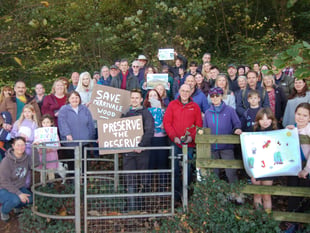 Merrivale Woods crowdfunding scheme fails - but all is not lost