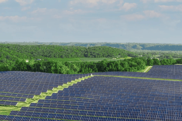 Voltis has unveiled proposals for a 36MW solar farm at Highnam Farm, enough to power 18,000 homes each year.