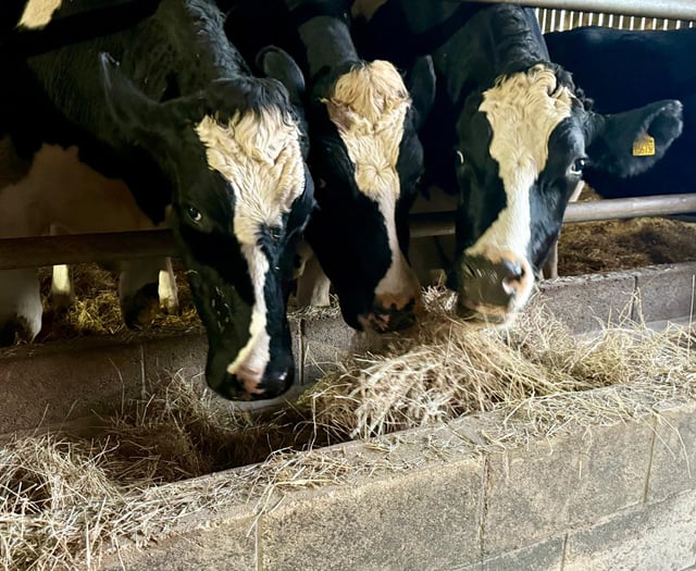 Dean Farm animal sanctuary launches winter hay and straw appeal
