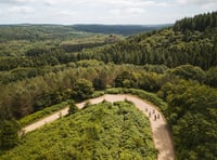Forest of Dean sites win at tourism awards