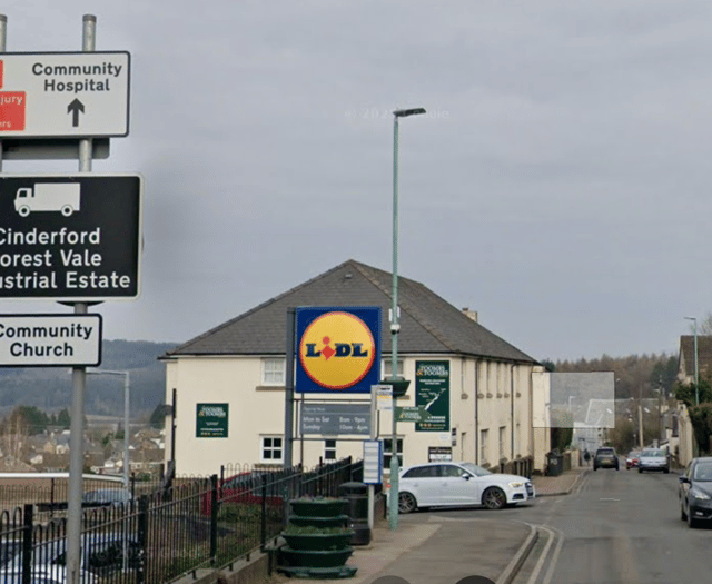 The Forest View with Dave Kent