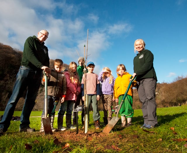 Sycamore Gap sapling planted at Biblins
