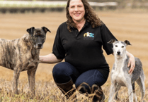 Join the groundbreaking Canine Symposium at Hartpury!