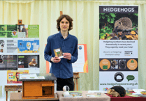 Wye Valley's very own hedgehog hero has claimed a BBC award