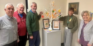 Council supports 16 Days of Action