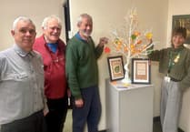 Council backs 16 Days of Action