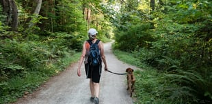 Gloucestershire is top UK dog-walking spot