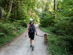Gloucestershire is top UK dog-walking spot