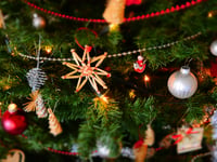 Have some fun this Christmas with The Forester's quiz!